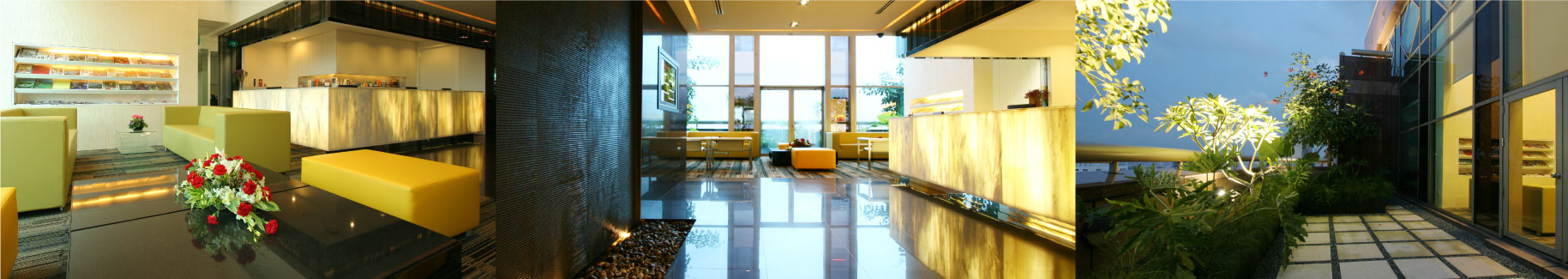 About Us - TP Dental